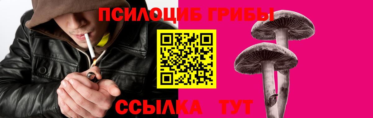 Ипатово  наркота  Вход с VPN  Галлюциногенные грибы Psilocybe 